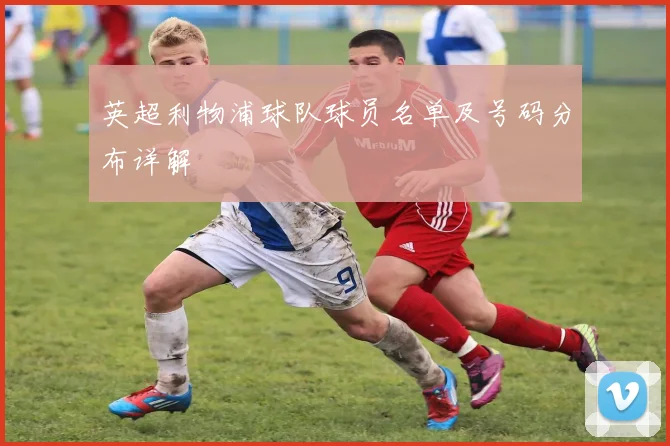 英超利物浦球队球员名单及号码分布详解