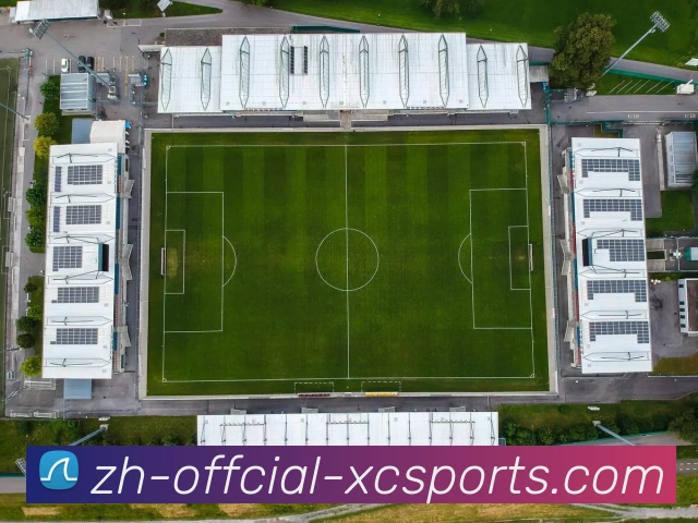 杏彩体育品牌故事