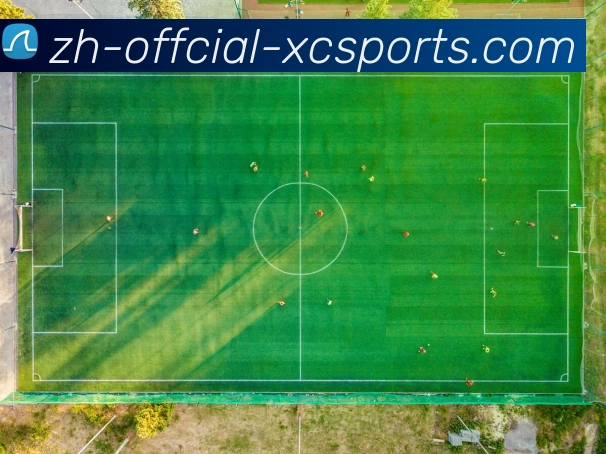 杏彩体育服务体系