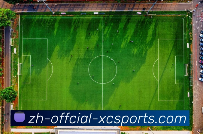 杏彩体育APP 体育赛事宣传图